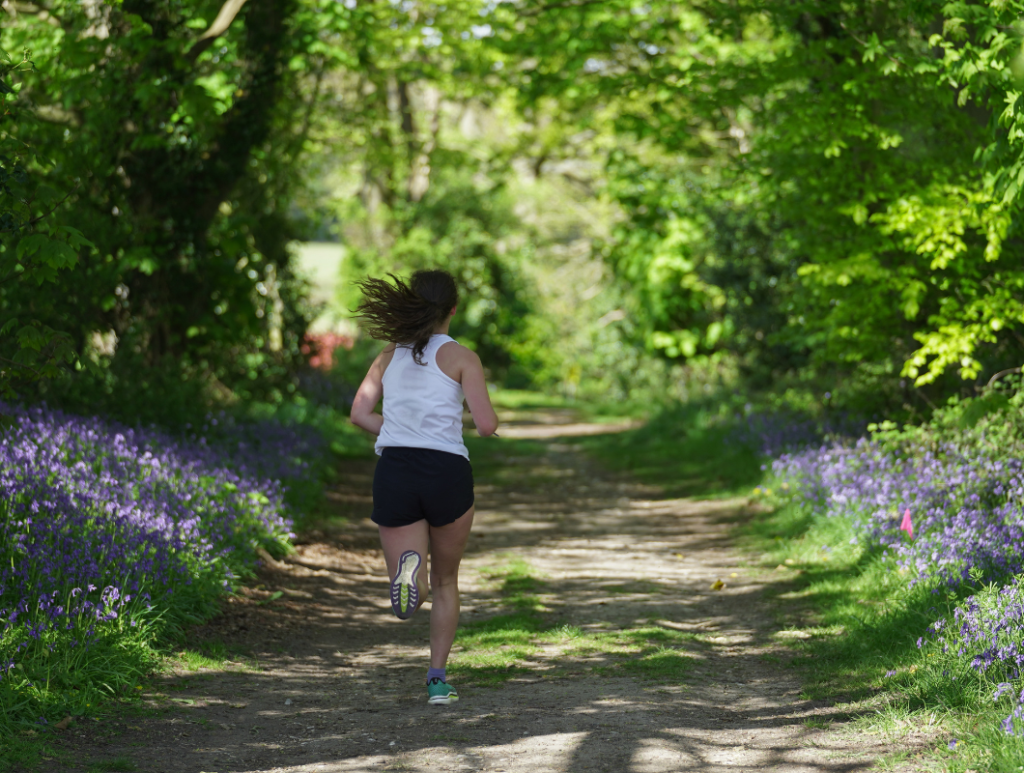 Little Lifts Trail Run Routes Bluebells
