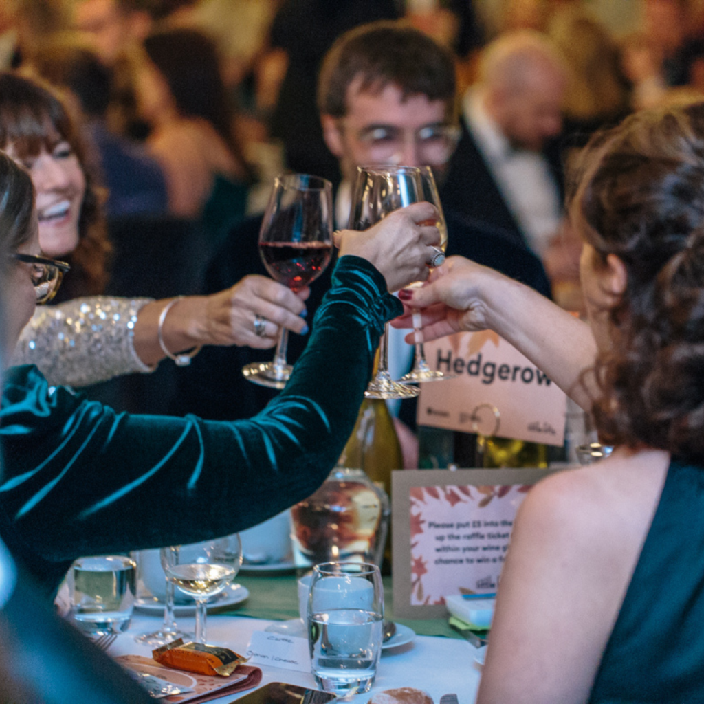 breast cancer charity fundraising ball