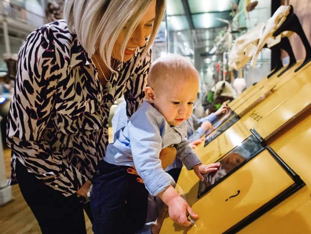 Something To Look Forward To Experience