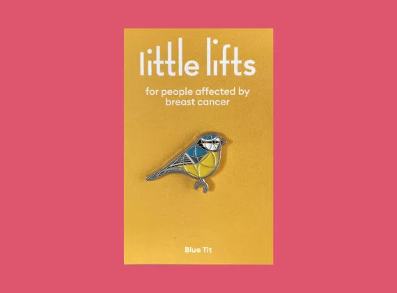 Charity Bird Pin – Blue Tit