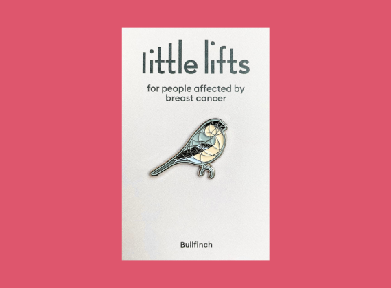 Bird Pin – Bullfinch