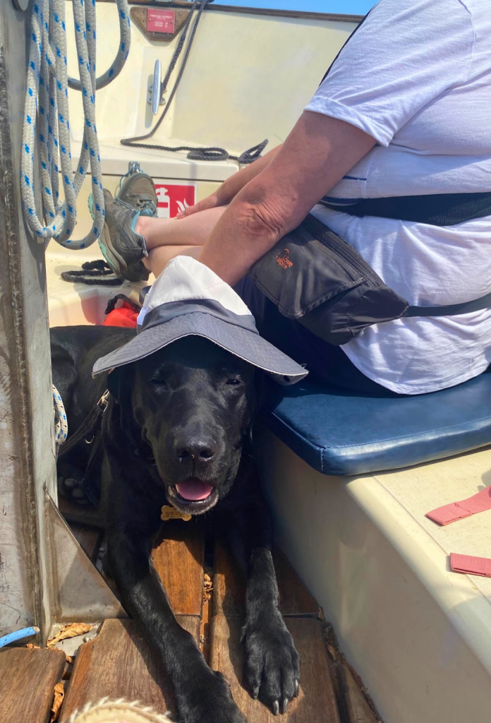 A dog wearing a sun hat relaxing on the boat during the Little Lifts community trip